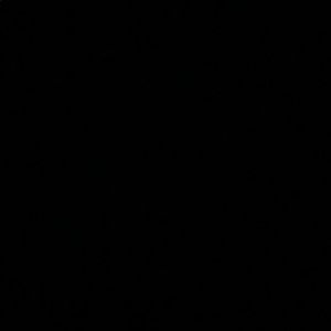 Meet your Posher, Leo